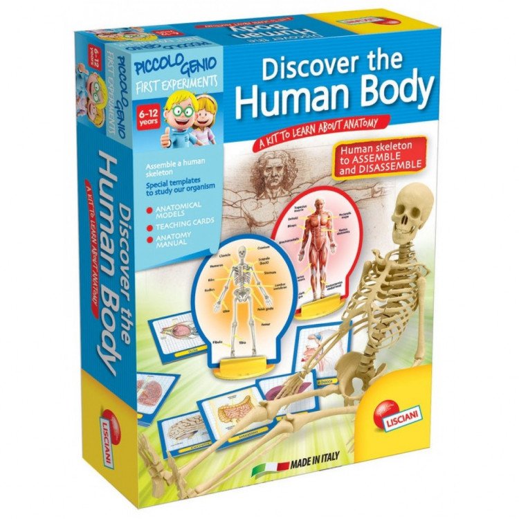 Discover the human Body